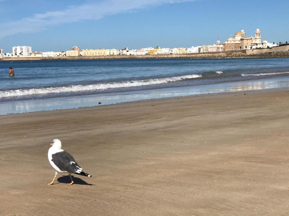 Molineros Victoria Beach 加的斯 外观 照片